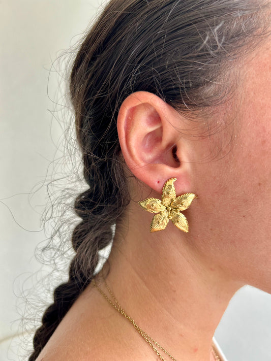 Boucles d'oreilles Marina